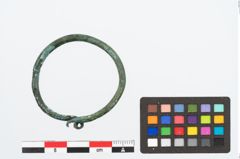 Foto von Bronzering (NHMW-PRAE-026453)